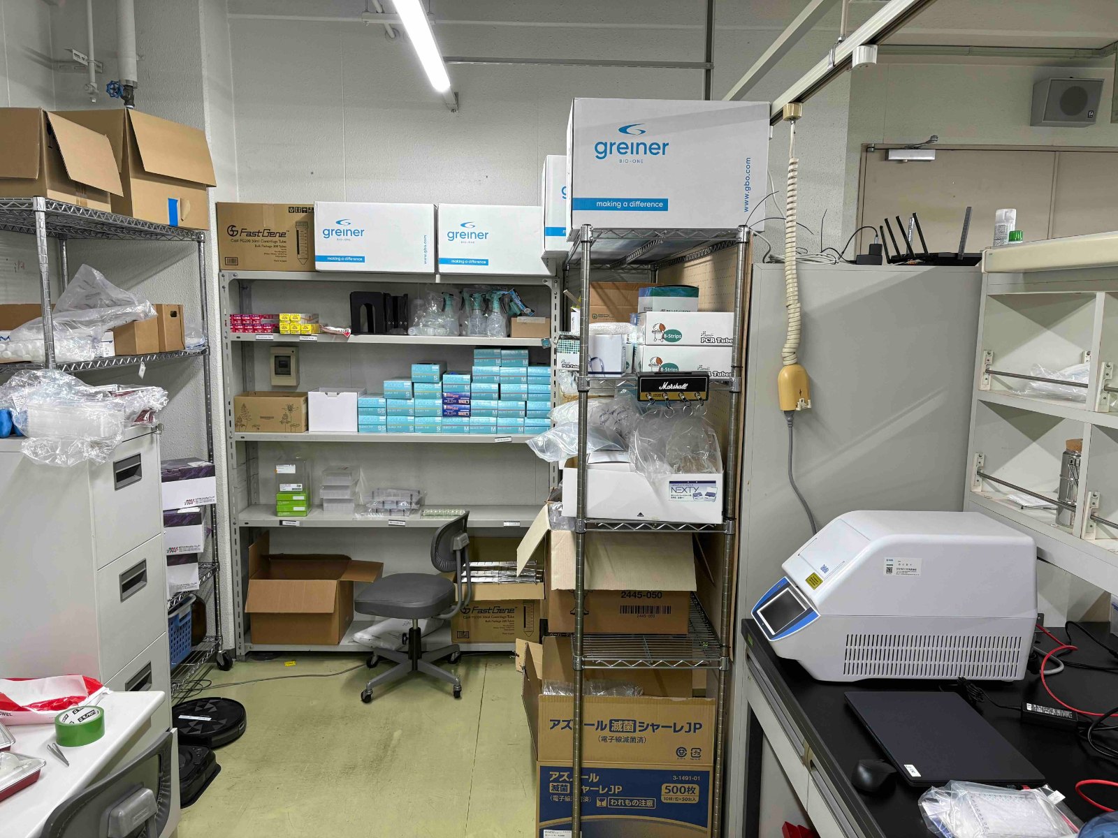 lab