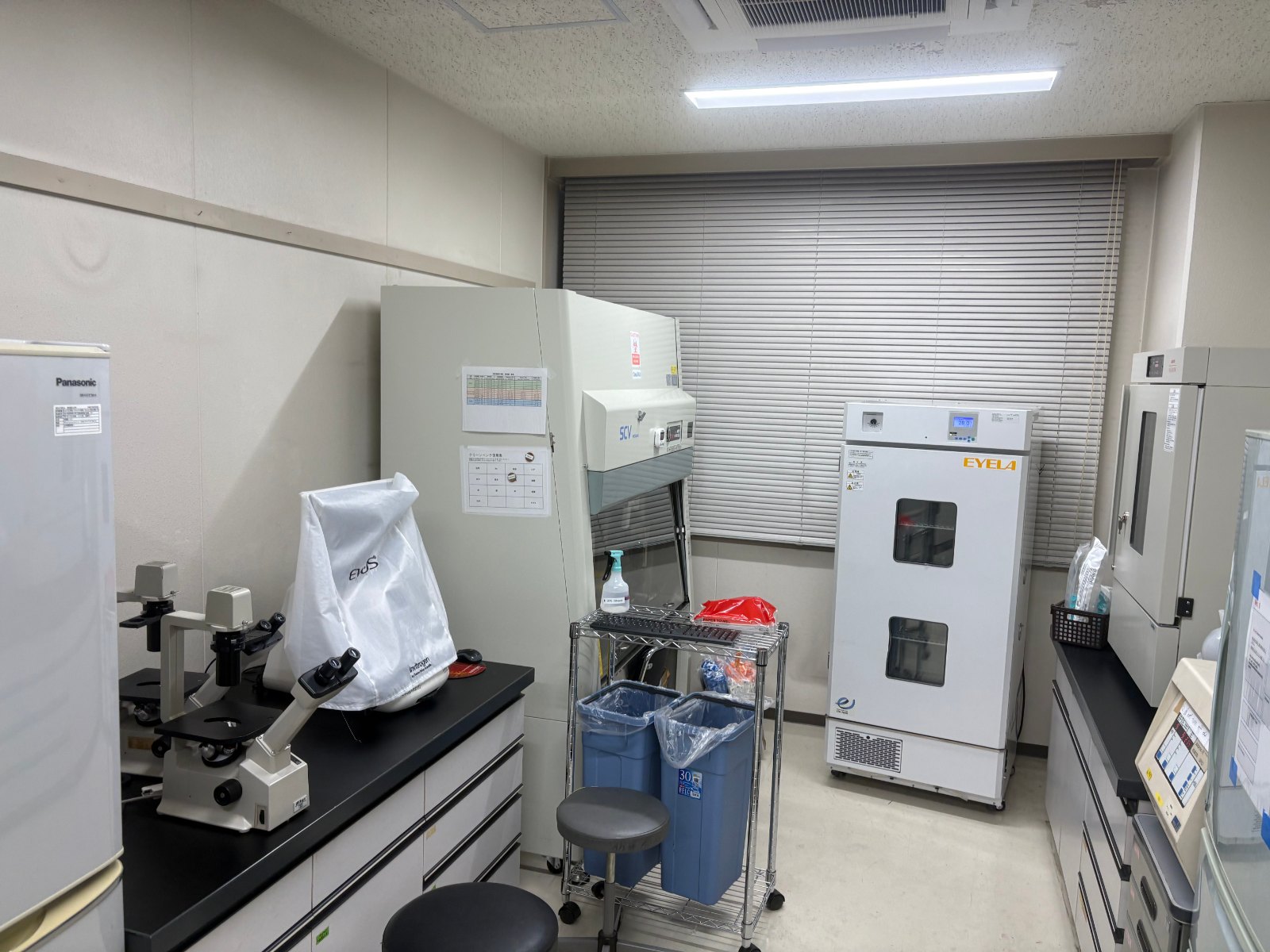 Lab (bench)
