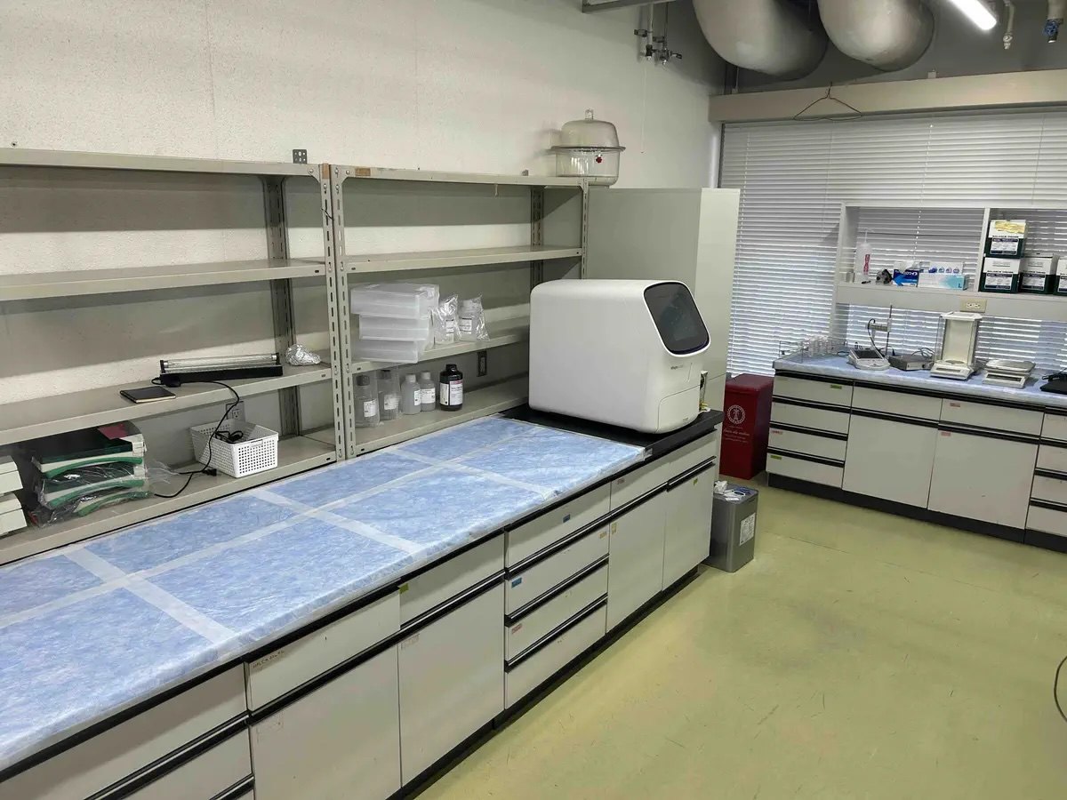 View of the lab (electrophoresis area)