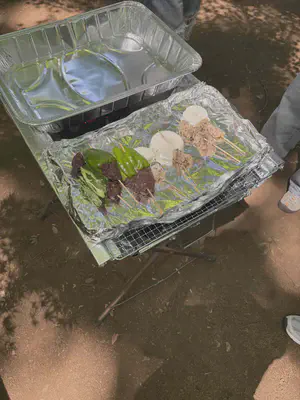 ラクダの肉とワニの肉